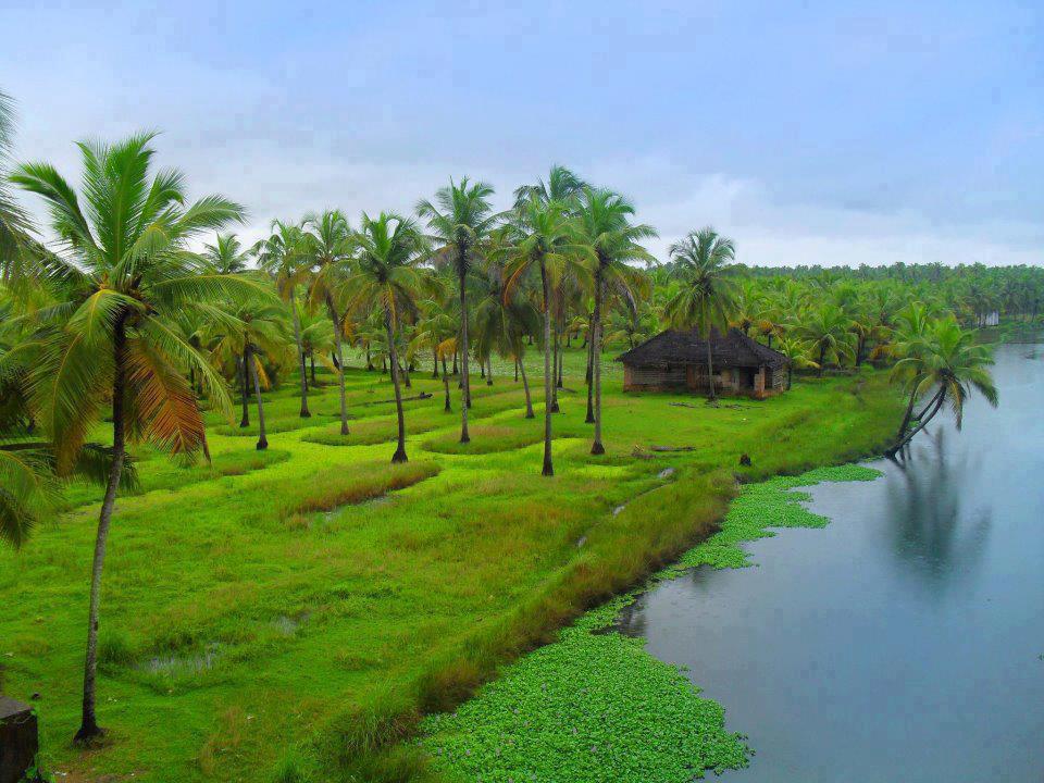 Natural Beauty of Kerala