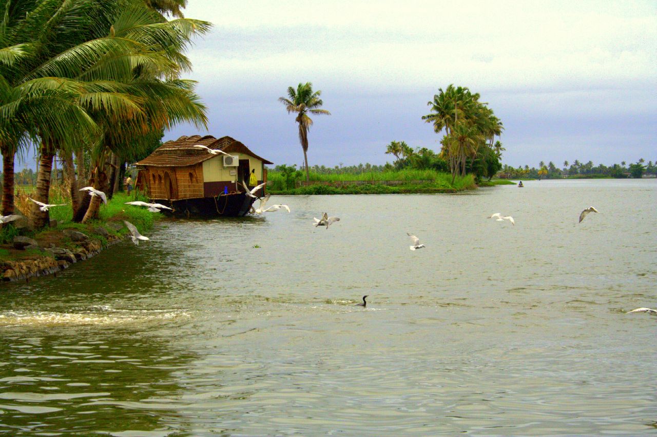 Kerala_backwater