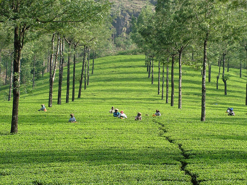 Munnar Hill Station