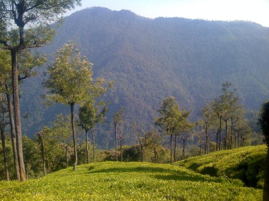 Coonoor Hill Station